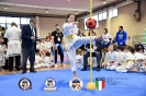 Karate Trofeo Lombardia_106