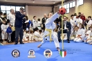 Karate Trofeo Lombardia_112