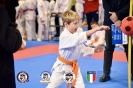 Karate Trofeo Lombardia_130