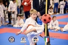 Karate Trofeo Lombardia_131