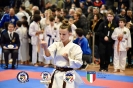 Karate Trofeo Lombardia_190