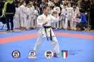 Karate Trofeo Lombardia_193