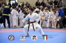 Karate Trofeo Lombardia_195