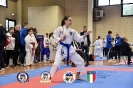 Karate Trofeo Lombardia_235