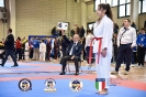 Karate Trofeo Lombardia_247