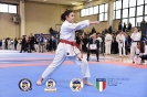 Karate Trofeo Lombardia_252