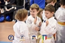Karate Trofeo Lombardia_25
