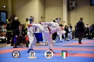 Karate Trofeo Lombardia_263