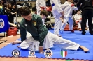 Karate Trofeo Lombardia_285