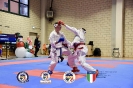 Karate Trofeo Lombardia_307