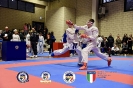 Karate Trofeo Lombardia_345