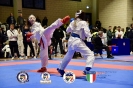 Karate Trofeo Lombardia_350