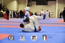 Karate Trofeo Lombardia_363