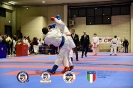 Karate Trofeo Lombardia_365