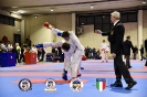 Karate Trofeo Lombardia_366