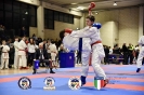 Karate Trofeo Lombardia_367