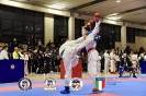 Karate Trofeo Lombardia_368
