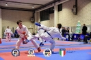 Karate Trofeo Lombardia_380