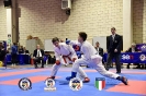 Karate Trofeo Lombardia_390