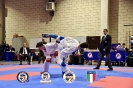 Karate Trofeo Lombardia_401