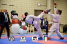Karate Trofeo Lombardia_432