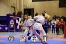 Karate Trofeo Lombardia_465