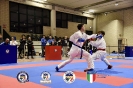 Karate Trofeo Lombardia_480