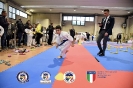 Karate Trofeo Lombardia_77