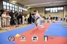 Karate Trofeo Lombardia_79