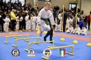 Karate Trofeo Lombardia_83