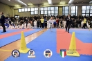 Karate Trofeo Lombardia_84