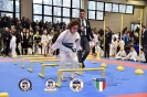 Karate Trofeo Lombardia_87