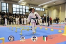 Karate Trofeo Lombardia_88