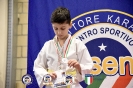 Karate Trofeo Lombardia_245