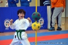 Karate - memorial A. Bassani_13