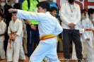 Karate - memorial A. Bassani_23