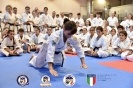 Karate - Stage S. Sanchez J. Del Moral_135