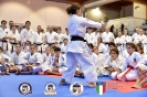 Karate - Stage S. Sanchez J. Del Moral_144