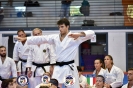 Karate - Stage S. Sanchez J. Del Moral_146