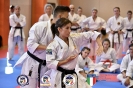 Karate - Stage S. Sanchez J. Del Moral_192