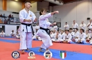 Karate - Stage S. Sanchez J. Del Moral_200