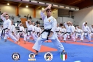 Karate - Stage S. Sanchez J. Del Moral_205