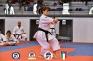 Karate - Stage S. Sanchez J. Del Moral_219