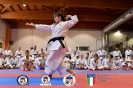 Karate - Stage S. Sanchez J. Del Moral_222