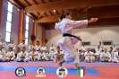 Karate - Stage S. Sanchez J. Del Moral_223