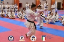 Karate - Stage S. Sanchez J. Del Moral_224