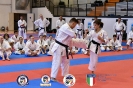 Karate - Stage S. Sanchez J. Del Moral_228