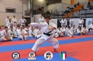 Karate - Stage S. Sanchez J. Del Moral_238