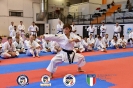 Karate - Stage S. Sanchez J. Del Moral_239