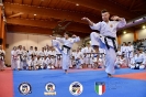 Karate - Stage S. Sanchez J. Del Moral_245